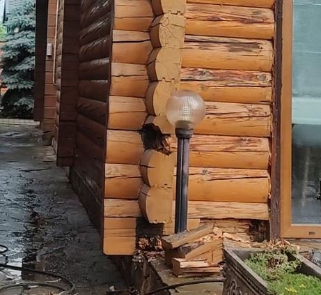Сгнившие венцы